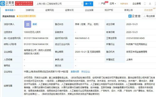 上海成立人工智能新公司 注冊資本1億人民幣，聚焦公共數(shù)據(jù)助力AI發(fā)展